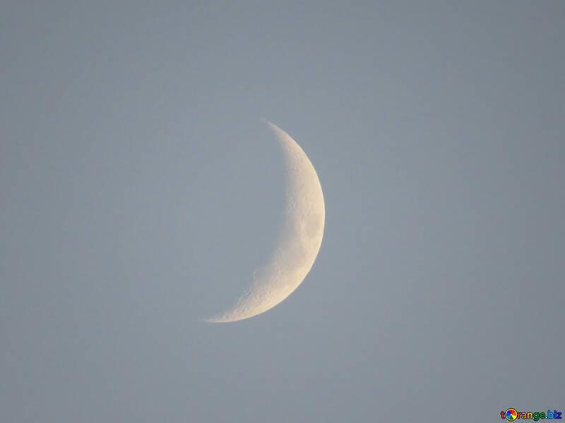 Moon day №27313