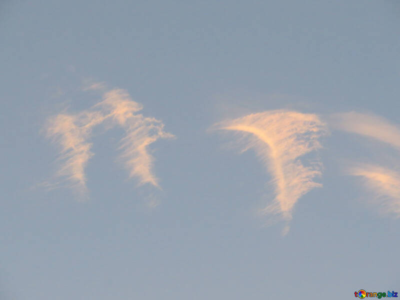 Cloud feather №27315
