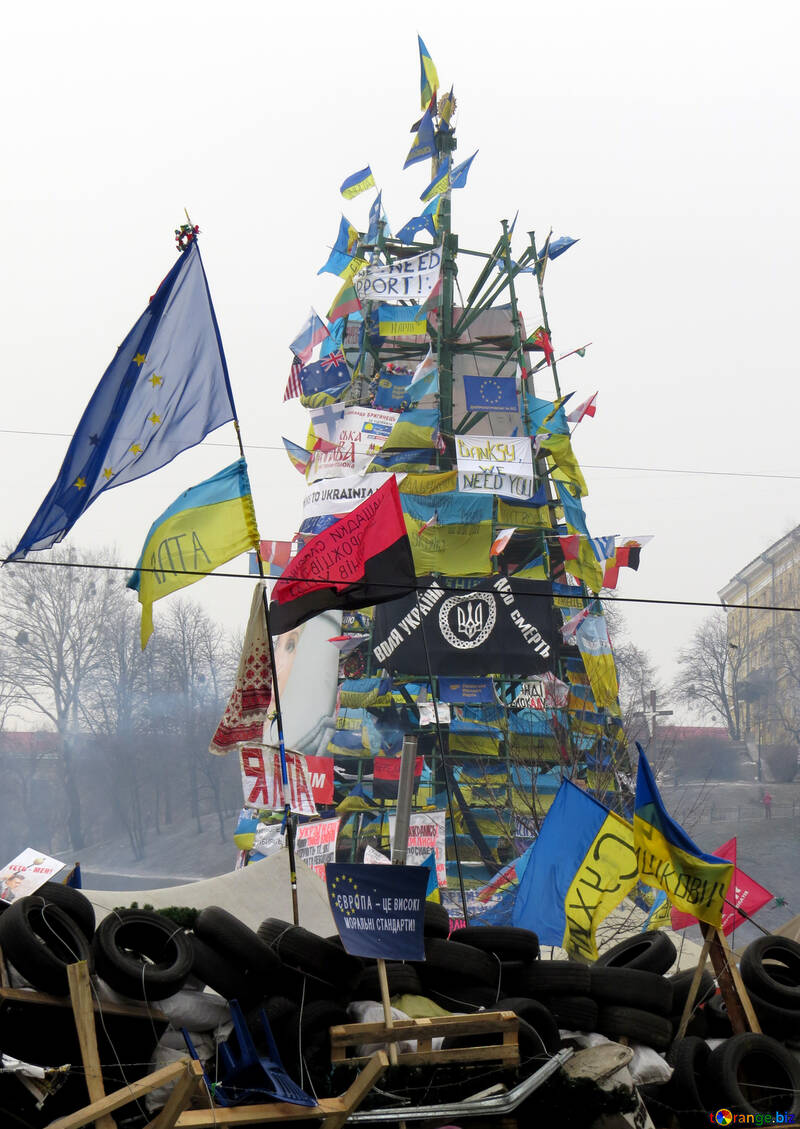 Protestas populares en Ucrania №27900
