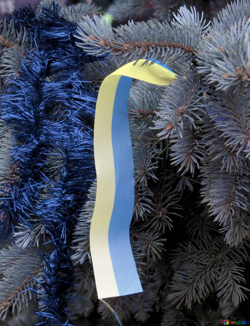 Ukrainische Flagge auf dem Baum №27990