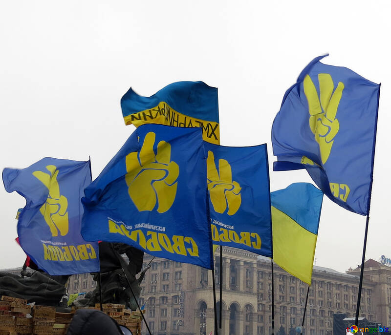 Ukrainische opposition №27796