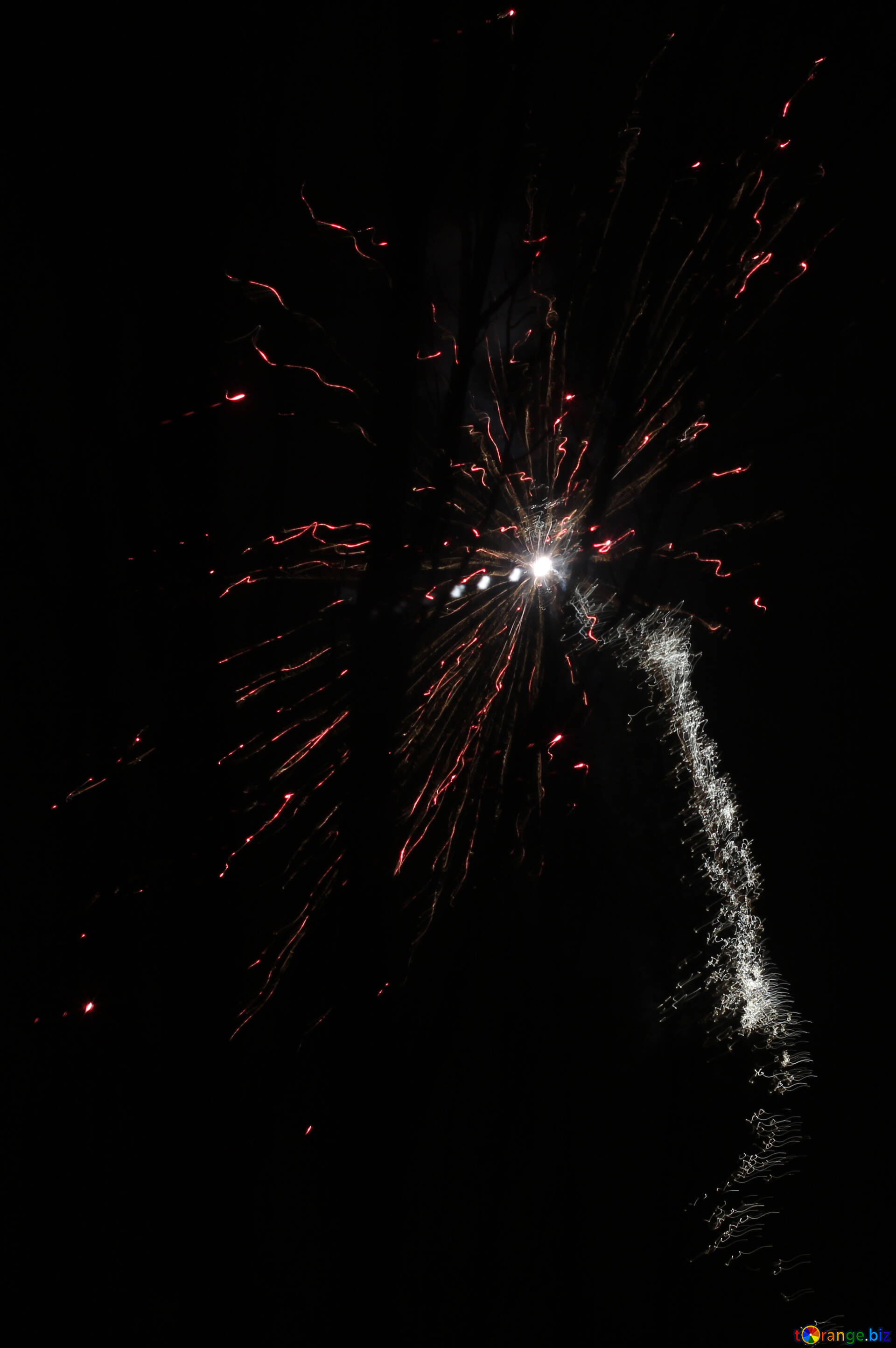 Fogos de artifício, incrível jogo de luz no céu