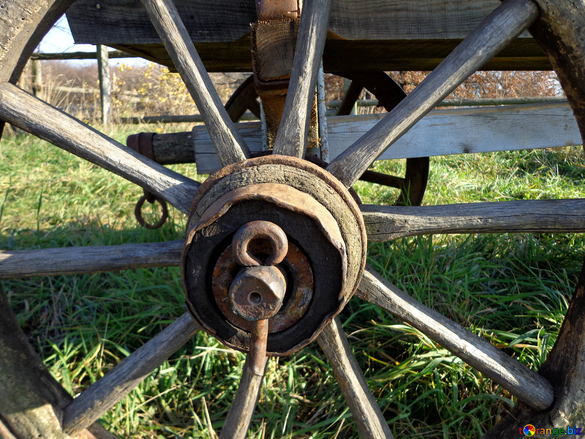 Ступица для телеги. Ступица деревянного колеса. Ступица колеса от телеги. Ось телеги. Поворотная ось от телеги.