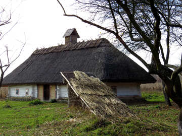 Ancient hut №28862