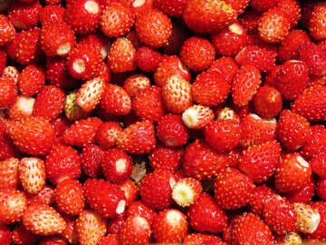Lot of strawberries background №28996