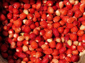 Erdbeeren in Korb №28980