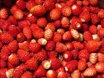 Strawberry wallpaper on desktop