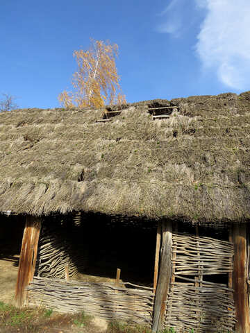 Old roof of reeds №28912
