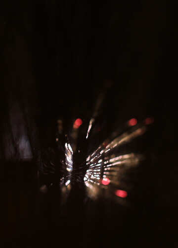 Fireworks in the woods №28130