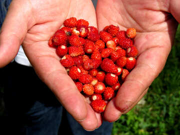 Herzen von Erdbeeren №28983