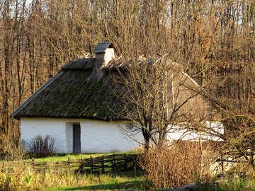 Kleines Haus im Dorf №28536