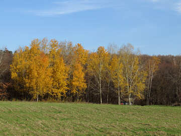 Autumn Landscape №28949