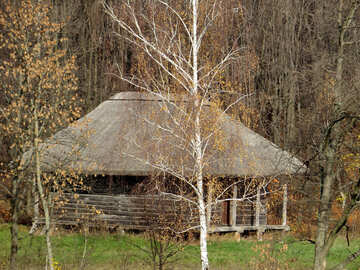 Cabin in the woods №28952
