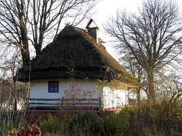 White hut №28539