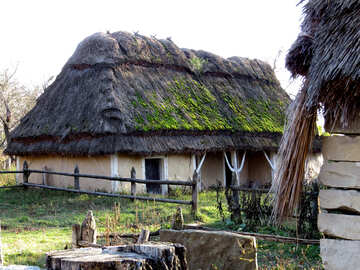 House under the Reed roof №28550