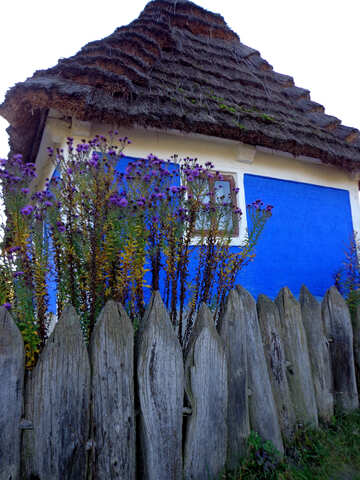 A casa azul atrás da cerca №28214