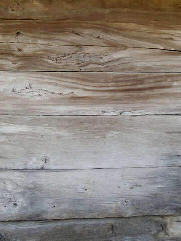 Texture of light wood №28887