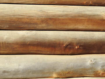Texture wall of logs №28937