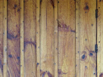 Texture wood color №28824