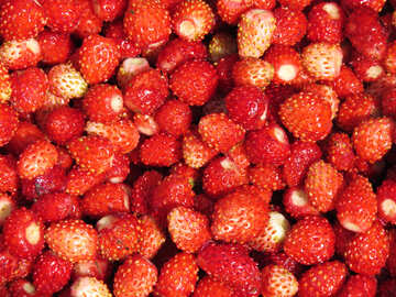 Strawberry texture background №28977