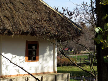 Ukrainian house №28721