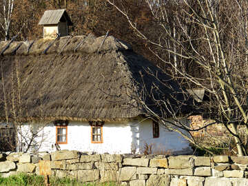 Ukrainian hut №28559