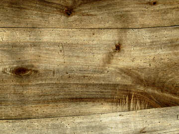 Texture of wood №28728