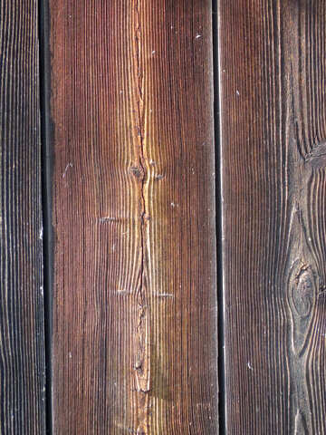 Texture of wood fibers №28735