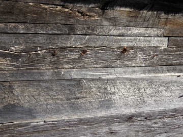 Very old wood №28929