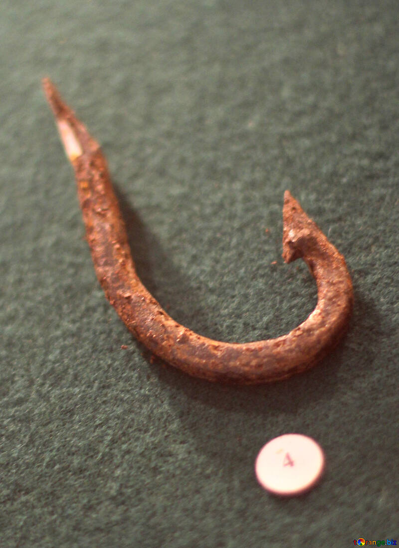 Ancient hook for fishing №28473