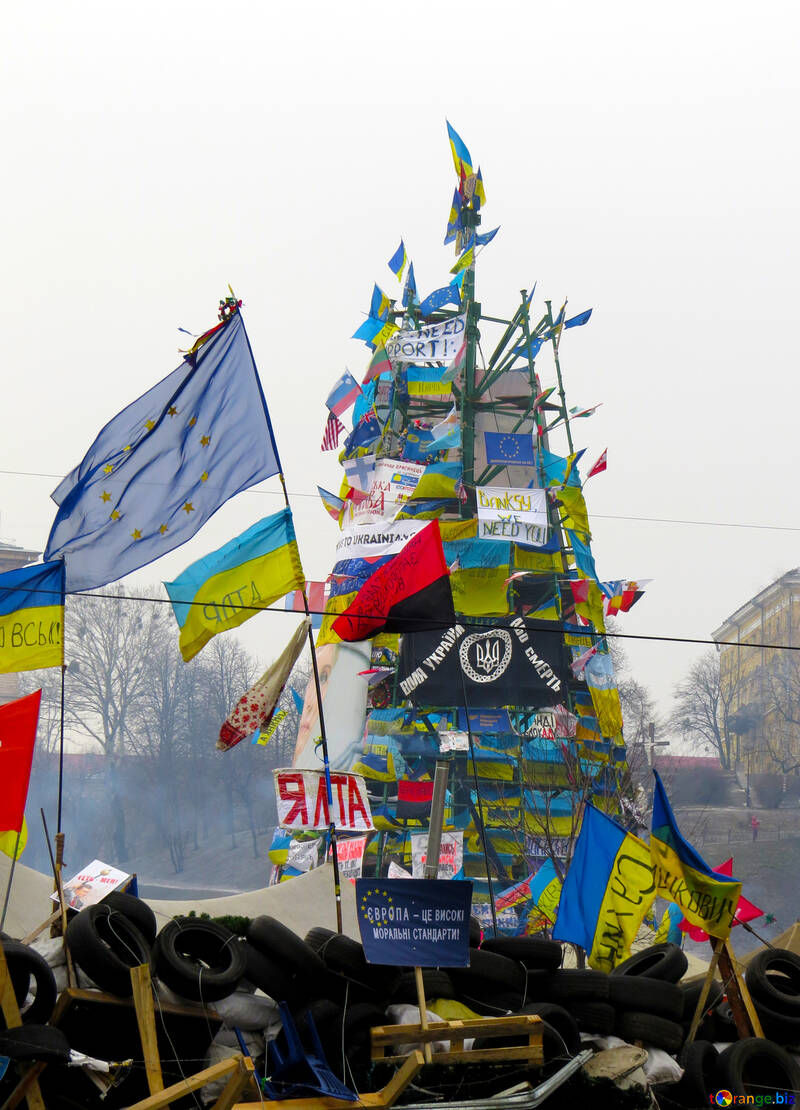 Arbre de Noël en 2013 de Kiev №28049