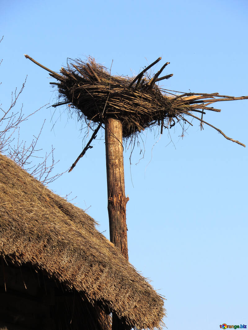 Storks nest for №28504