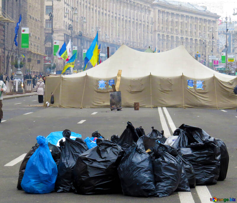 Ordinato e puliti ribelli raccolgono spazzatura per le strade №28001