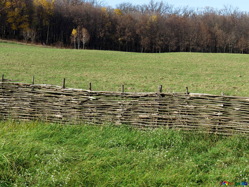 Fence  №28943