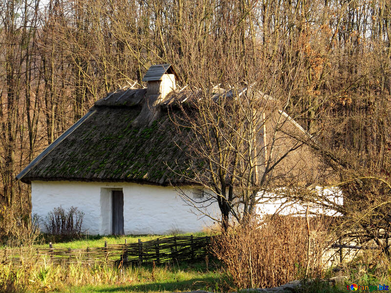 Маленький будинок у селі №28536