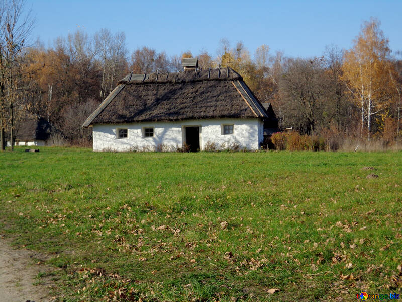 Haus im Dorf nahe dem Wald №28233