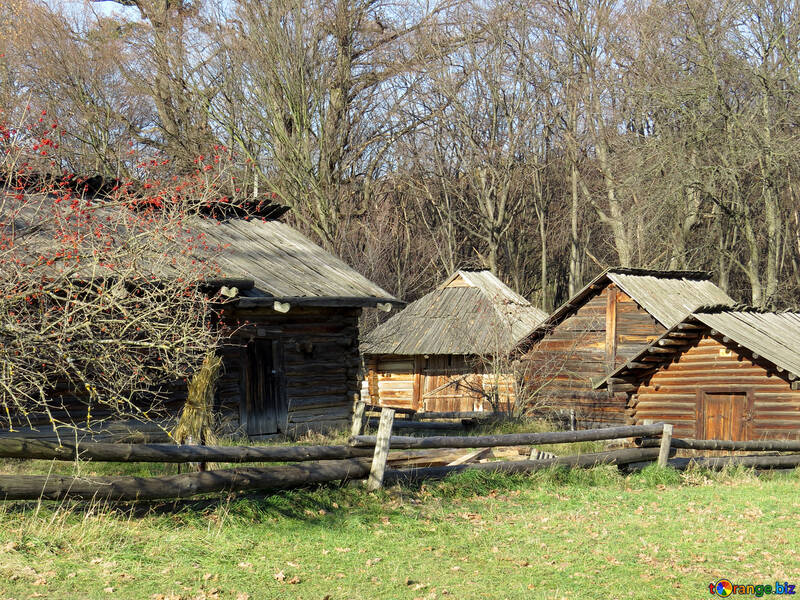 Maisons en bois dans le village №28612