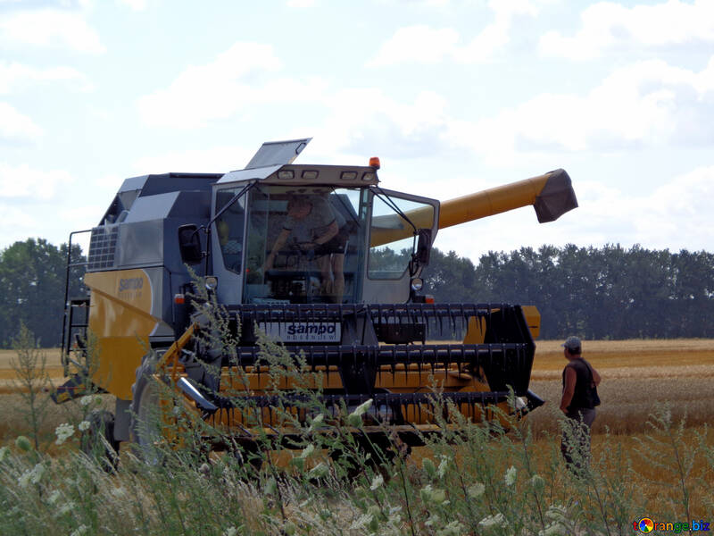 Harvester in the field №28284