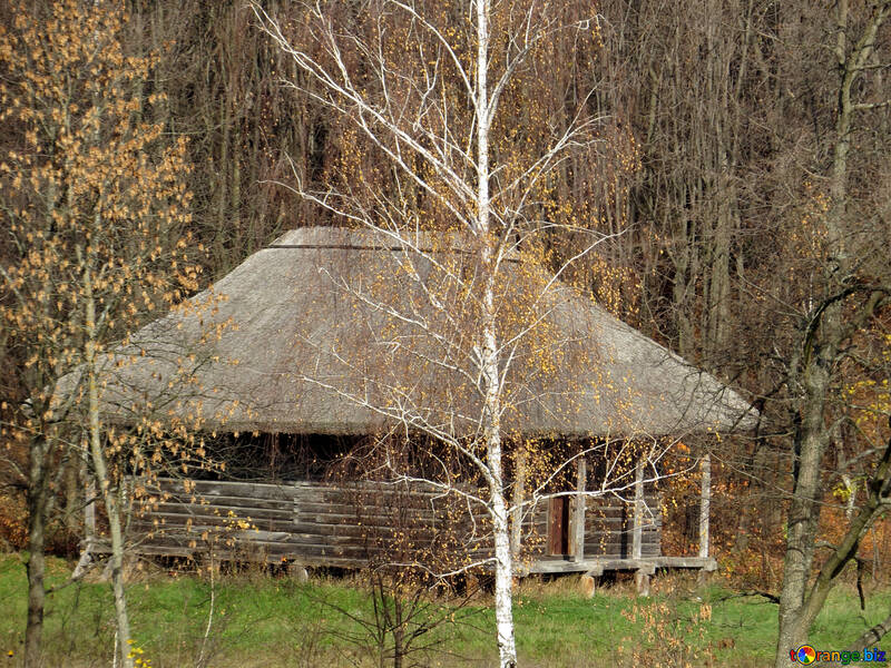 Hütte im Wald №28952