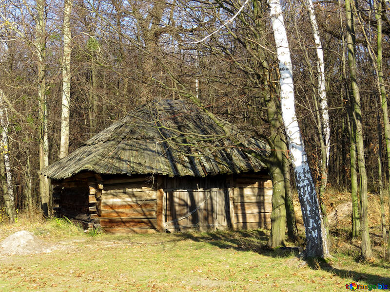 Hütte im Wald №28624