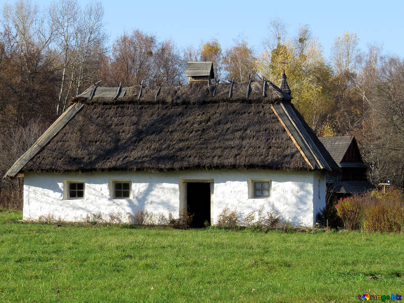 Старий сільський будинок №28566