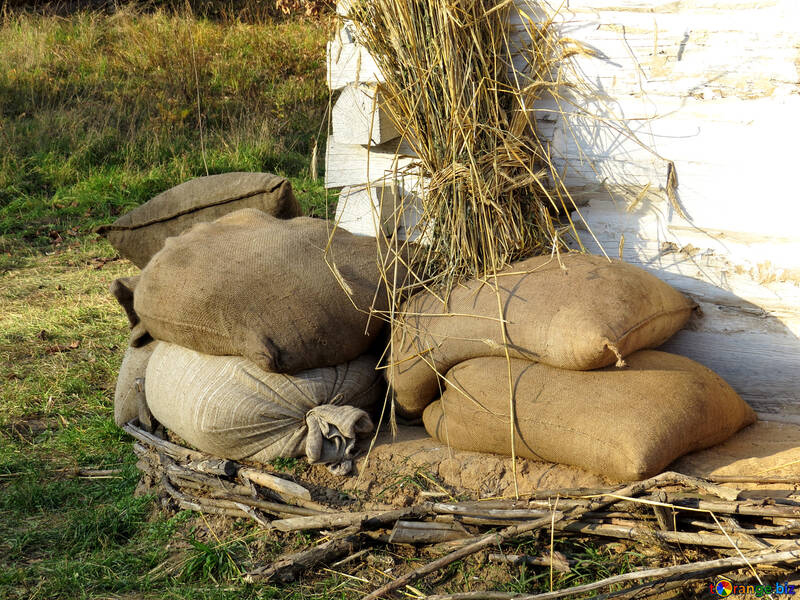 Supply of food sacks of grain №28509