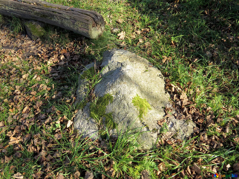 Large stone in the ground №28664