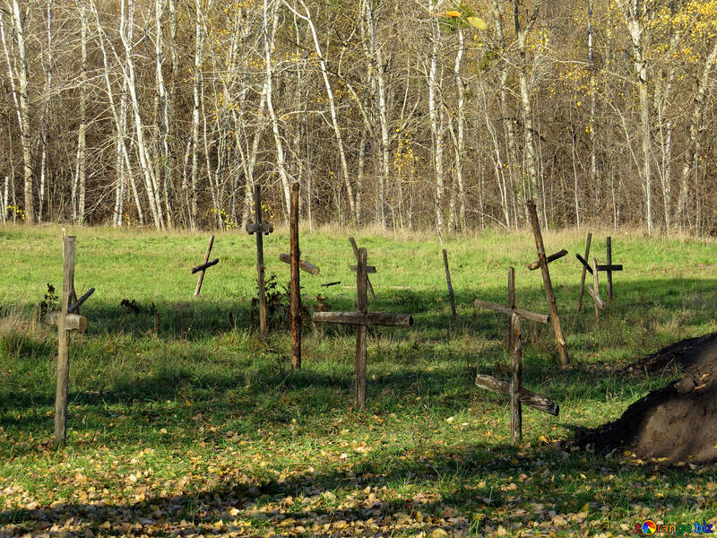 Neglected cemetery №28570