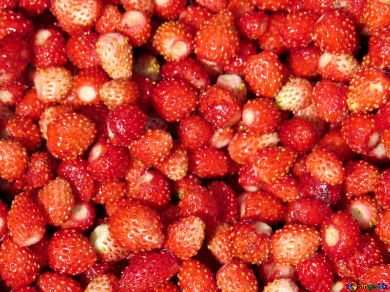 Red strawberries №28975
