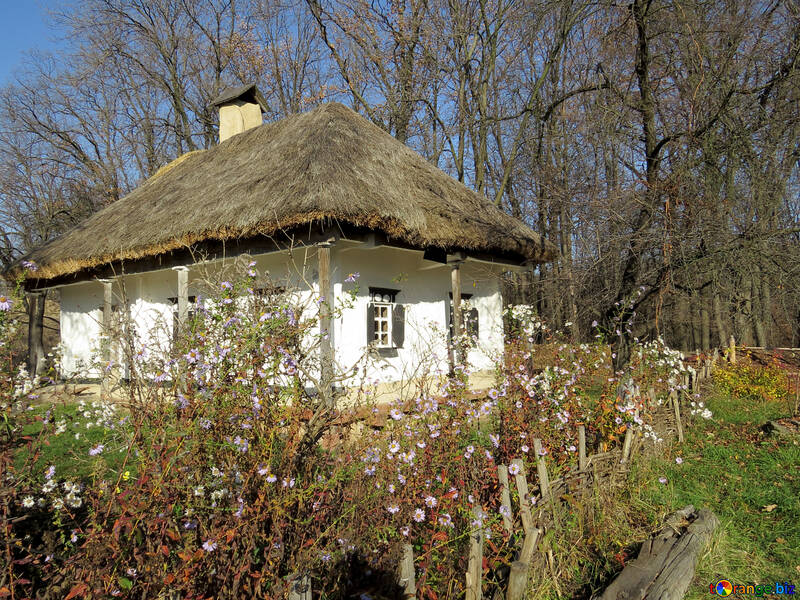Ukrainian house №28652