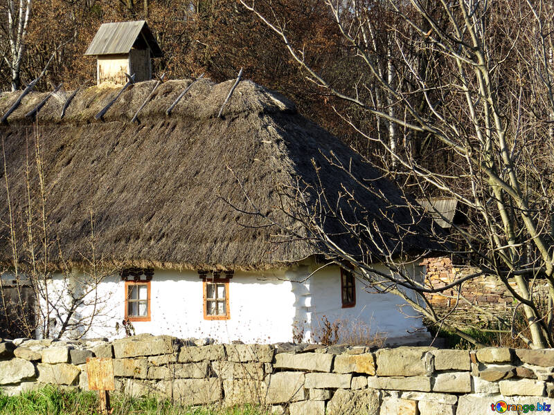 ウクライナの小屋 №28559