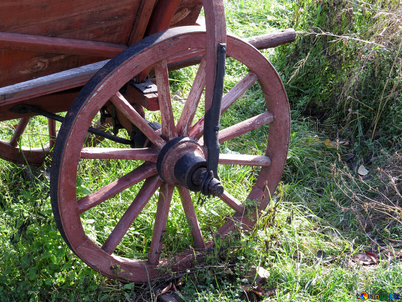 Wooden wheel №28828