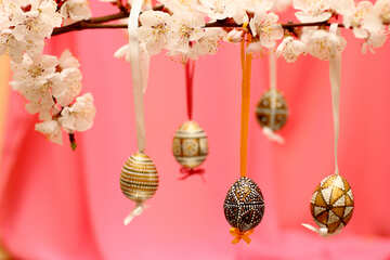 Branch of blossoming apricot with Easter egg