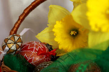 Easter daffodils №29711